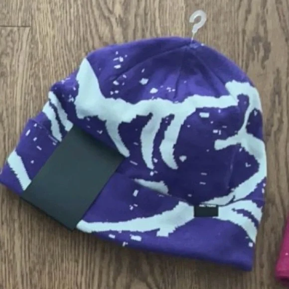 arc'teryx ビーニー　パープル s-l400.jpg